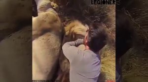 Такую кРАсоту Любви можно повторять сотни раз