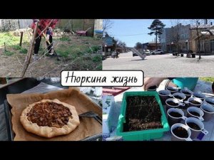 Эффективная работа на участке // Пересадка земляники // Вкуснейшая галета с картофелем и грибами