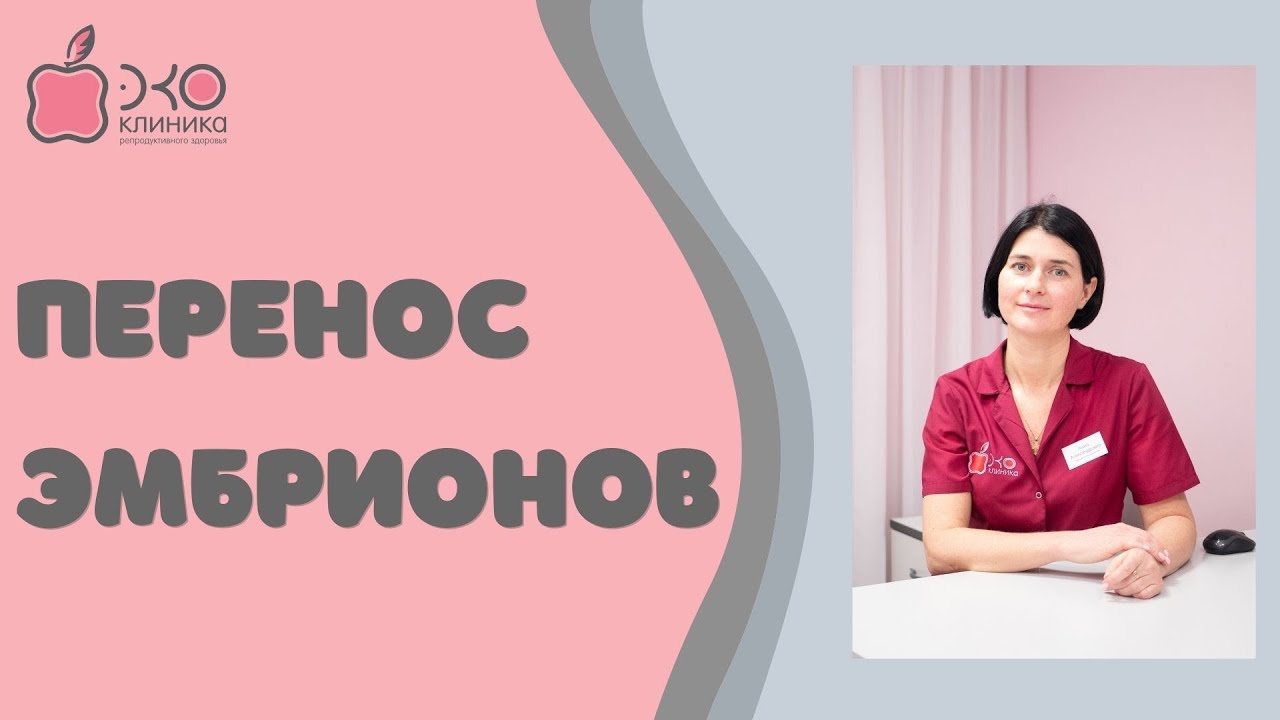 Перенос эмбрионов