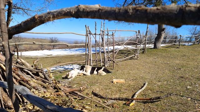 İspanaqlı Pendirli Börək, Traditional Turkish Borek With Cheese and Spinach, Cooking Videos смотреть онлайн