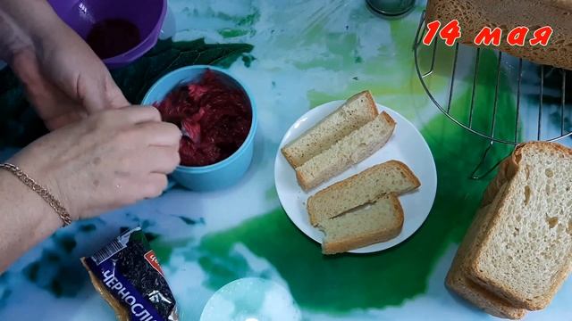 VLOG: Пообщаемся, погуляем по саду и приготовим, что доктор прописал. 12 -14 мая смотреть онлайн