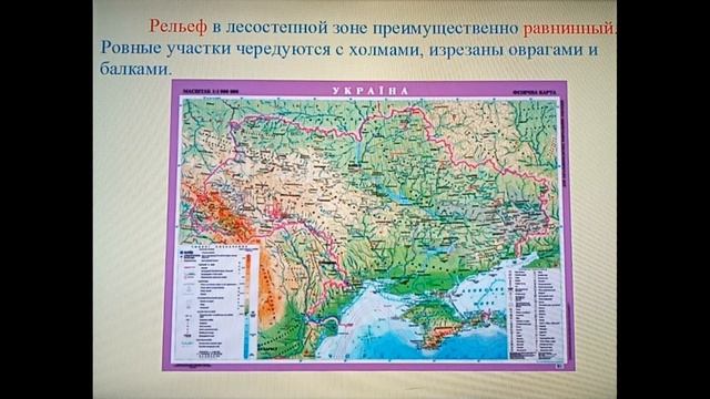 Природоведение 4 класс. Лесостепь.