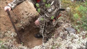 Как хоронят охотничьих собак