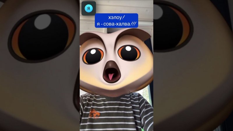 Приятно познакомиться!     #fun #funnyshorts #facetime #смешные #шорст #зоопарк #головоломка