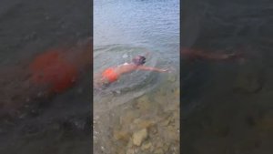 Заозерное 20160821