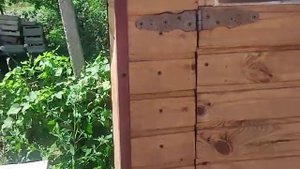 Пробую режим варки, при копчении перепелов