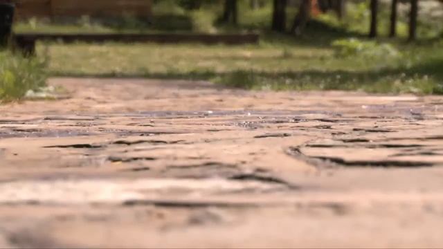 Видеоэкскурсия У БАРИНА. Лето