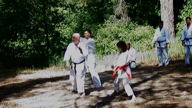 Сайфа (исп. Ладыженский, Денис, Оля). 37-й экзамен по каратэ. Харьков-2017 Karate смотреть онлайн