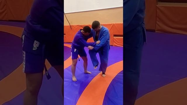 Принцип вперёд-назад Бедро. @nechesoff ? #дзюдо #judo #ufc #самбо #борьба #мма #спорт #нечесов