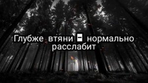 Караван плана ( текст)