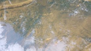 Река Урунтин