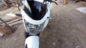 senke 250