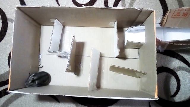 Хомк в лабиринте!!!!! смотреть онлайн