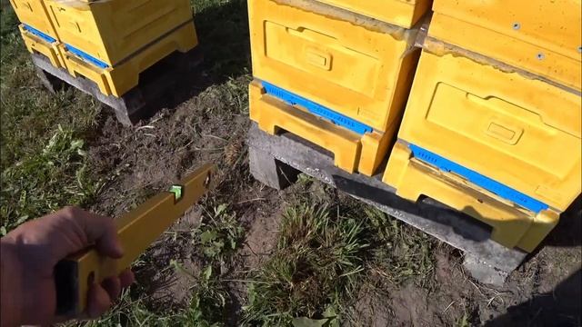 ЗАКОРМ И ОБРАБОТКА ПЧЁЛ. ВАЖНЫЕ МОМЕНТЫ !!! смотреть онлайн