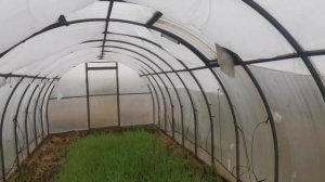 Какая теплица лучше! Выбираем правильно