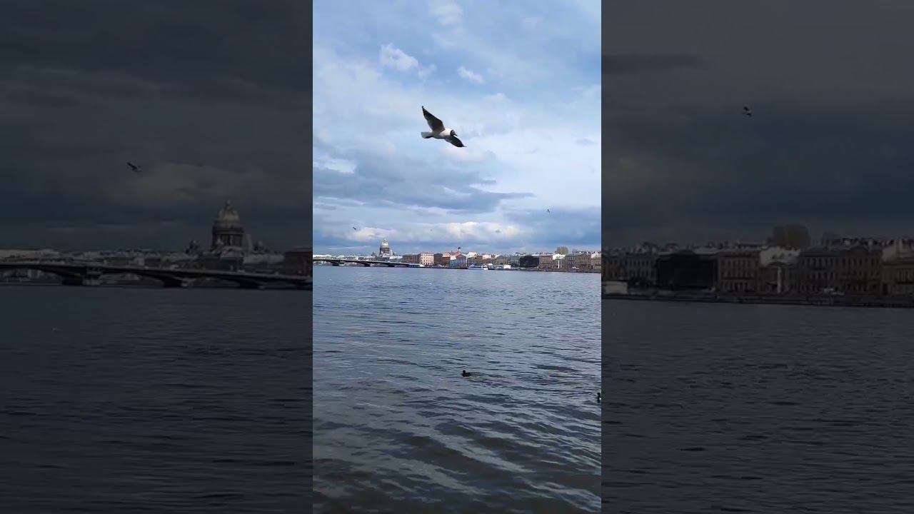 Моя ДУША ВЕЩАЕТ ДЛЯ ТЕБЯ - ЧЕЛОВЕК...