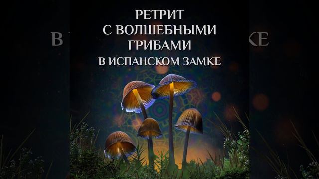 8 ДНЕЙ РЕТРИТА ВМЕСТО 8 ЛЕТ АНТИДЕПРЕССАНТОВ смотреть онлайн