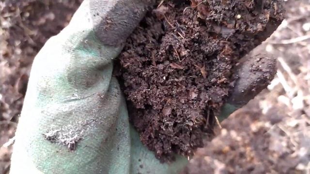 Гуляю в лесу, собираю деньги! ??? смотреть онлайн