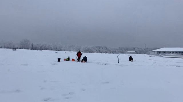 Основной - форель на пасту смотреть онлайн