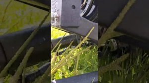 Самодельный трактор на гусеницах.