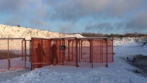 Скорострельность ружья МР 133 помпа