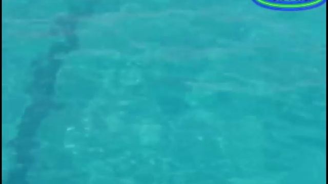 Старинный кумыкский наигрыш смотреть онлайн