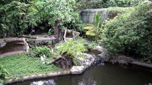 15. Зоопарк Дусит в Бангкоке/Dusit Zoo in Bangkok. Часть 1.  4K