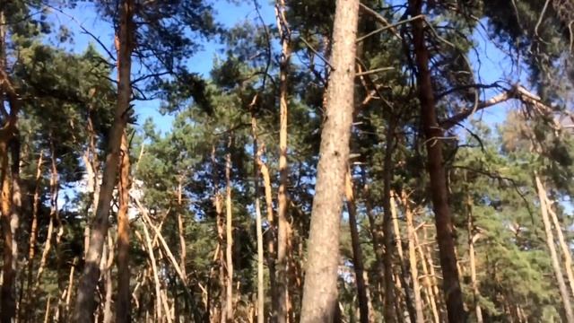 ВЛОГ: Деньги на ветер, Деревенский ДНЕВНИК ХАЧА, Ломка, Накрыли БАБ смотреть онлайн