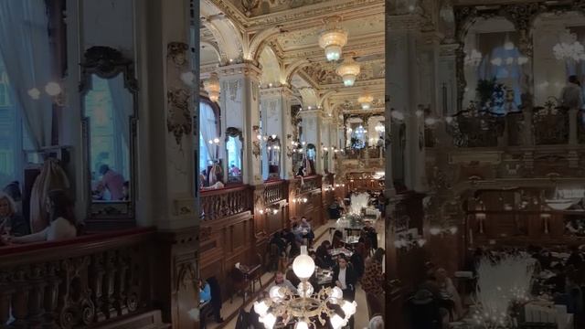 The most beautiful café in the world. Café New York in Budapest. #budapest #cafe #hungary
