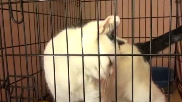 Помощь бездомным смотреть онлайн