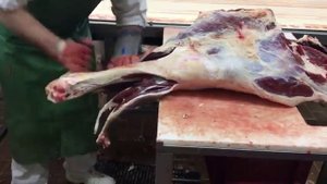 Обвальщик по говядине