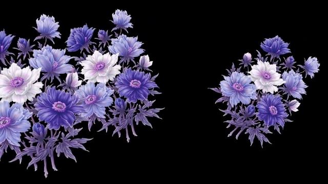 футаж цветы11 Proshow producer free, слайд шоу, слайд программа смотреть онлайн