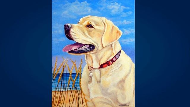 Лабрадор ретривер (Labrador Retriever)