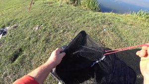 Садок рыболовный спортивный прорезиненная сетка 4 метра Аргентум Fishing