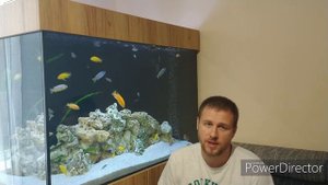 Можно ли кормить живым кормом Малавийских цихлид ?