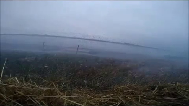 Ловушка на уток (ракеты и сеть) ! смотреть онлайн