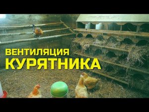 Грамотная и простая ВЕНТИЛЯЦИЯ КУРЯТНИКА