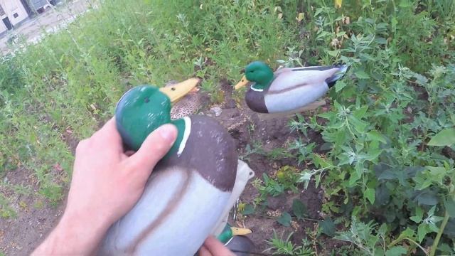 Как можно сделать из плавающих чучал утки, чучела для охоты в поле.