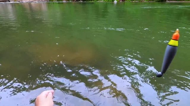 КОРОЛИ ЗАШЛИ В РЕКИ !!! ЧАВЫЧА - КОРОЛЕВСКИЙ ЛОСОСЬ. ОТКРЫТИЕ СЕЗОНА. РЫБАЛКА В США смотреть онлайн