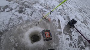 Ловля БЕРША СУДАКА ЗИМОЙ на ВОДОХРАНИЛИЩЕ  - ДНЕВНИК БЛОГЕРА