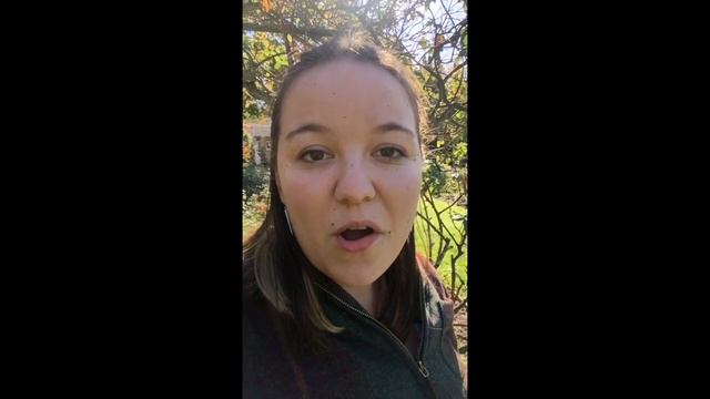 Sonnet 365: Sonnet 115 смотреть онлайн