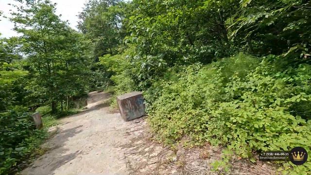 Мамайский лесопарк -  остров зелени в центре Сочи | Прогулка до моря по Мамайскому лесопарку
