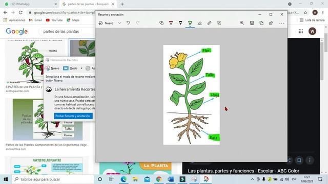✂Cómo utilizar la HERRAMIENTA RECORTES en Windows 10 rápido fácil смотреть онлайн