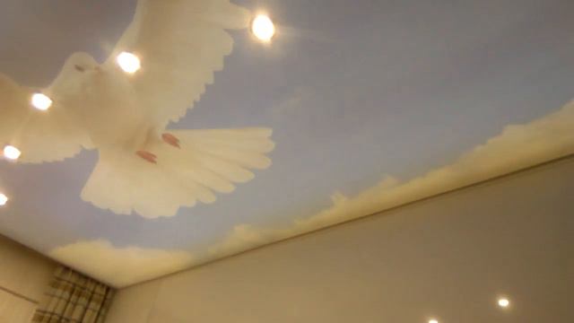 Elasticni plafoni смотреть онлайн