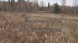 Унылая пора! Очей очарованье!