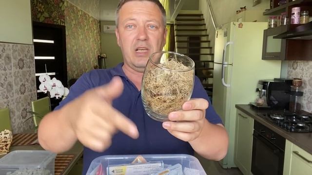ОРХИДЕИ во МХЕ КАК ПОДРУЖИТЬСЯ с мхом сфагнумом  // полив орхидей чтобы корни росли и не гнили