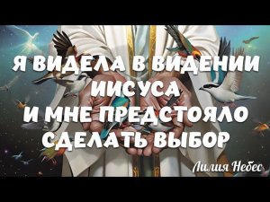ВИДЕНИЕ: Я УВИДЕЛА ИИСУСА И МНЕ ПРЕДСТОЯЛО СДЕЛАТЬ ВЫБОР! Лилия Небес