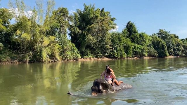 ТАИЛАНД 2024 🇹🇭 Экскурсия на реку КВАЙ часть 5🌴 Катаемся на СЛОНАХ 🐘 смотреть онлайн