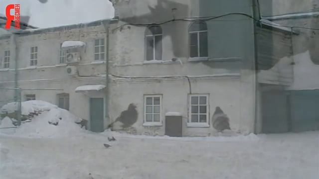 ЯБ2014 Центр инвалидов