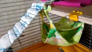 Как сшить ГАМАК для КРЫС. Учимся шить своими руками